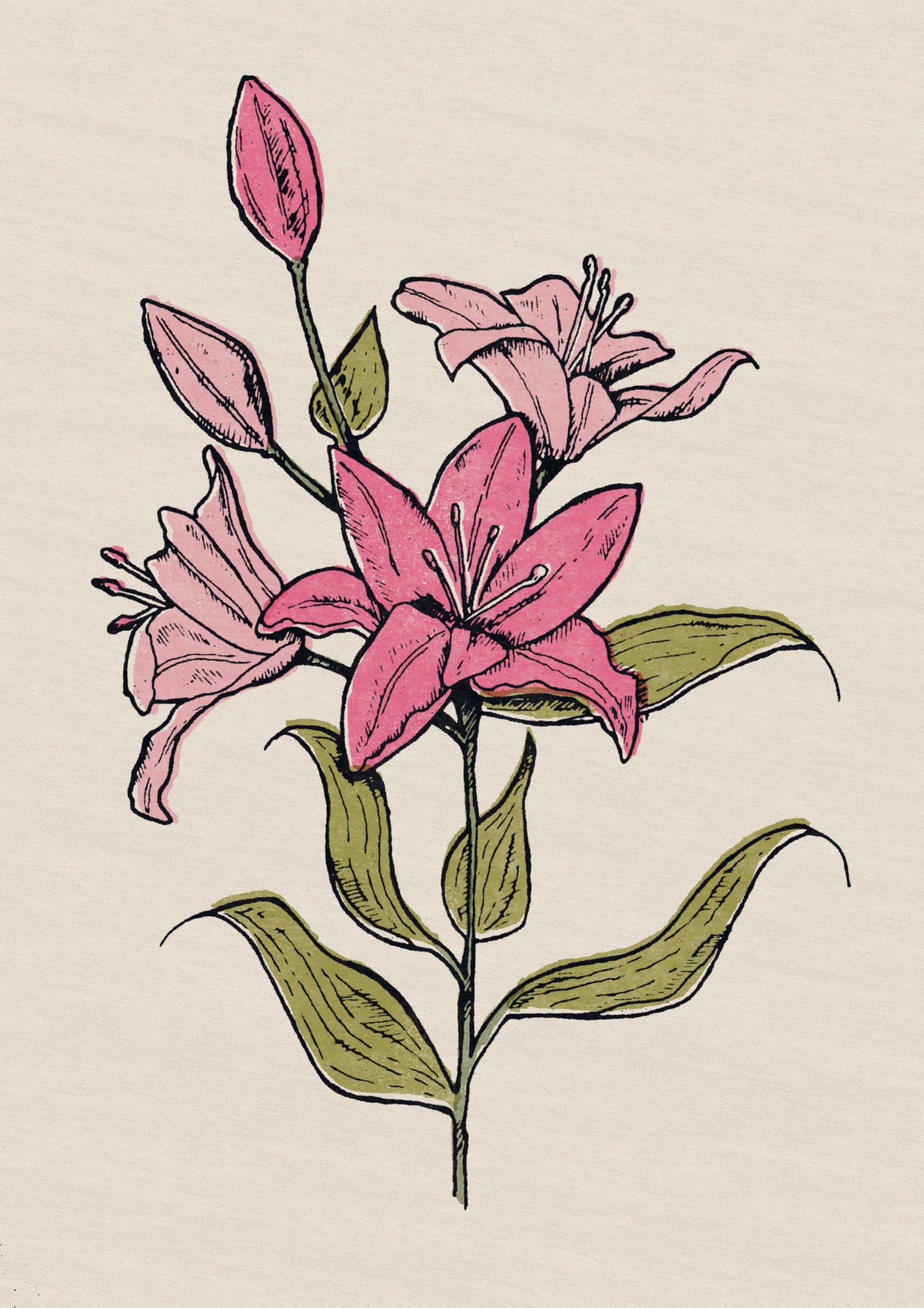 Pink Tiger Lily Giclée Print