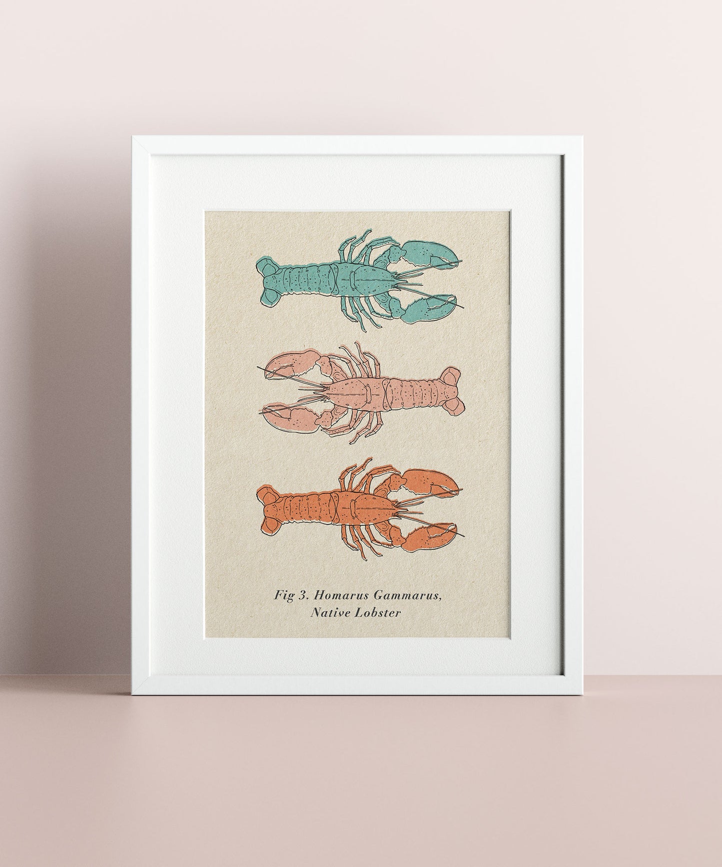British Native Lobster Giclée A4 Art Print